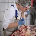 AS0255800000 (2).webp